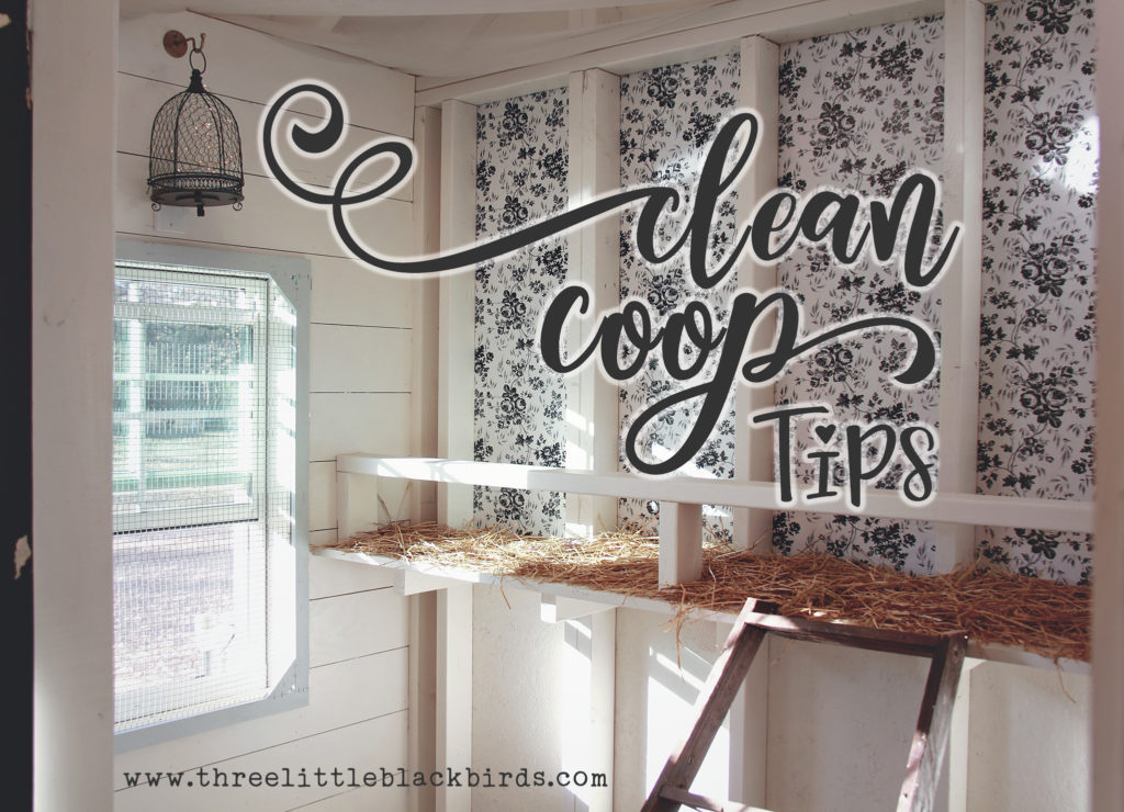 Three Little Blackbirds - Coop Cleaning Tips and Tricks