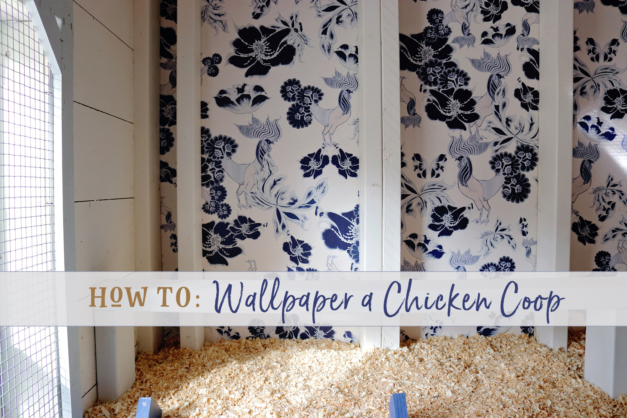 Three Little Blackbirds - How to Wallpaper a Chicken Coop