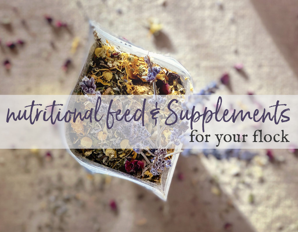 Nutritional Feed & Supplements for your flock