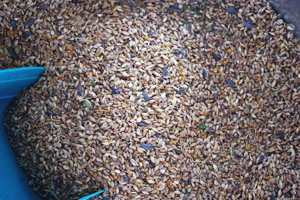 raw whole grain feed