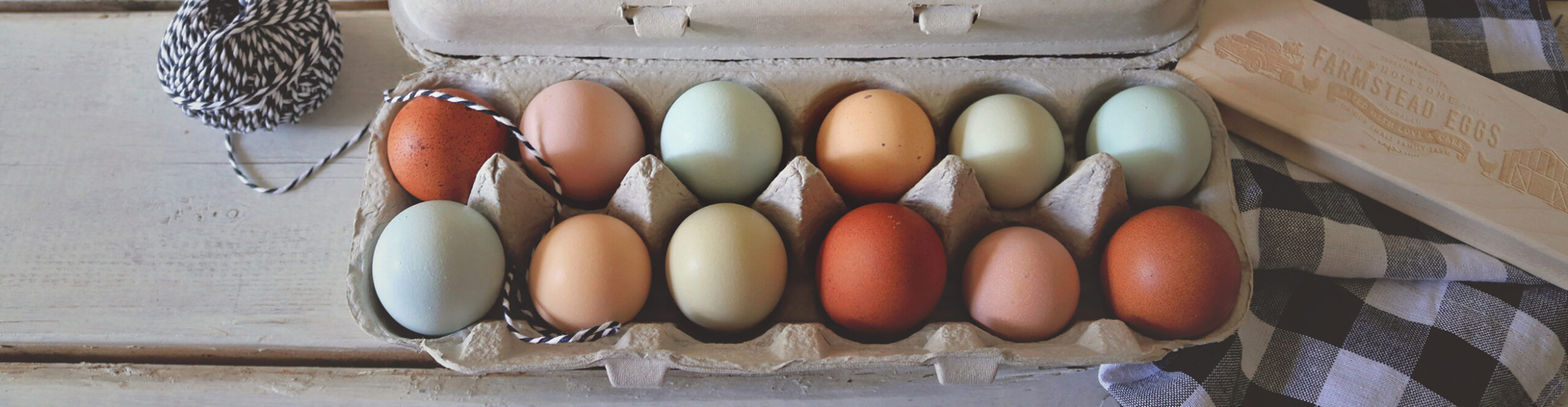eggs